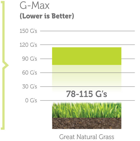 chart-gmax